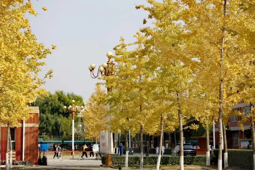 校园环境