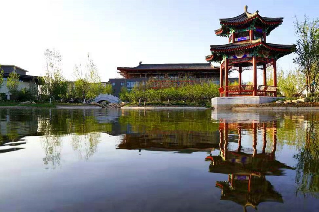校园环境 