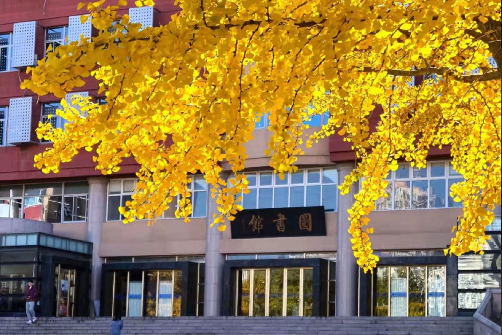 校园环境